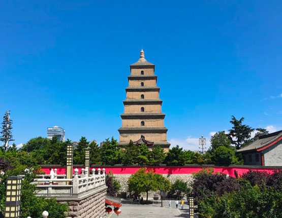 縮略圖